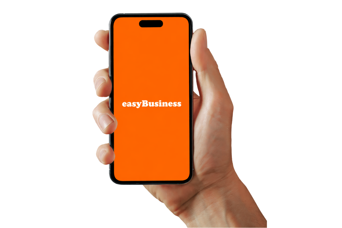 easyBusiness platform dashboard preview